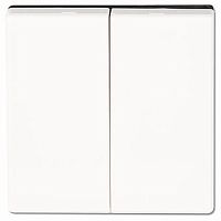 Лицевая панель Jung EcoProfi для 2-кл. выключателя белый картинка